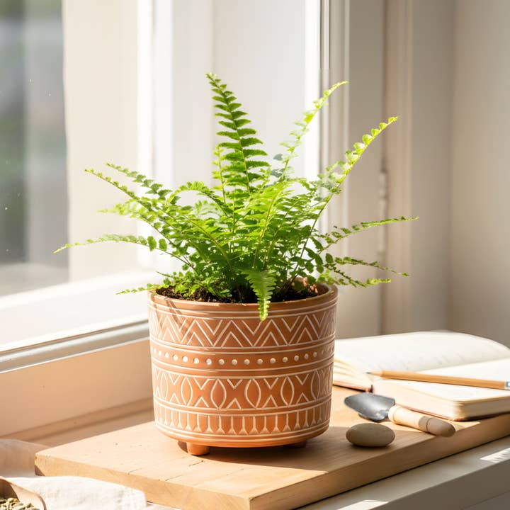 5,5" håndlavet potteplanter • Håndætset terracotta potte-lille for engroshandel hos KORISSA