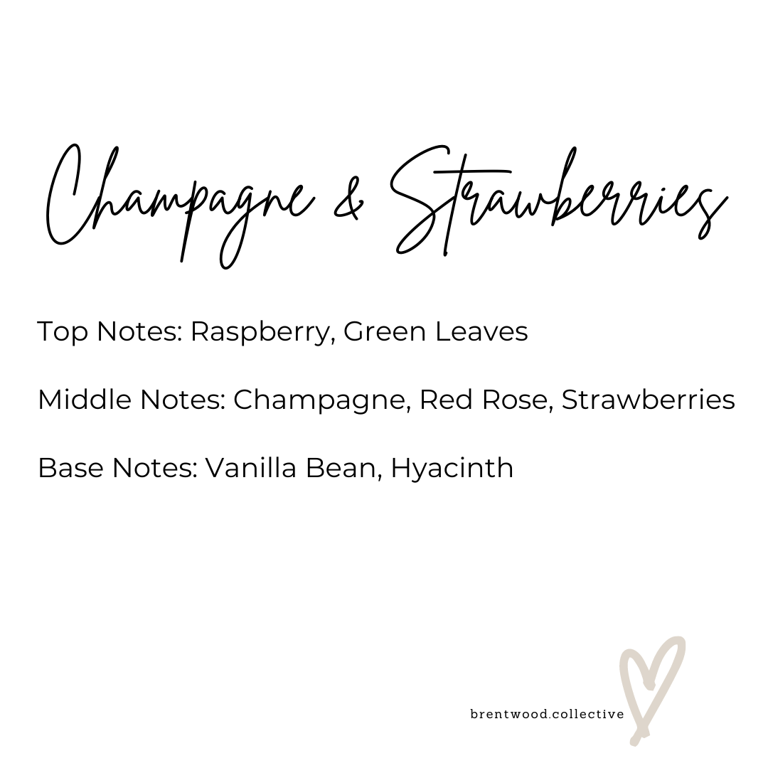 Brentwood Collective - Wholesale Jar/Filled Candle - Champagne & Strawberries | Candle6