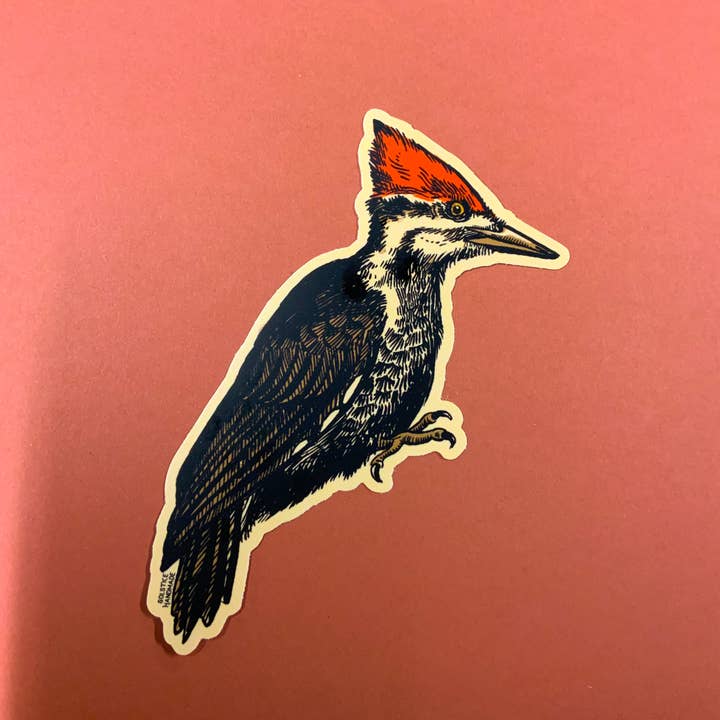 Solstice Handmade - Wholesale Sticker - Pileated Woodpecker Sticker
