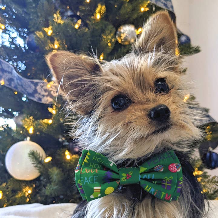 Huxley & Kent - Wholesale Pet Bow Tie - Cat/Dog - Merry & Bright Bow Tie
