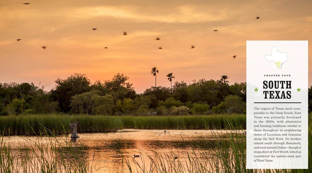 Independent Publishers Group - Wholesale Cookbooks & Food - United Tastes of Texas: Authentic Recipes from ....1