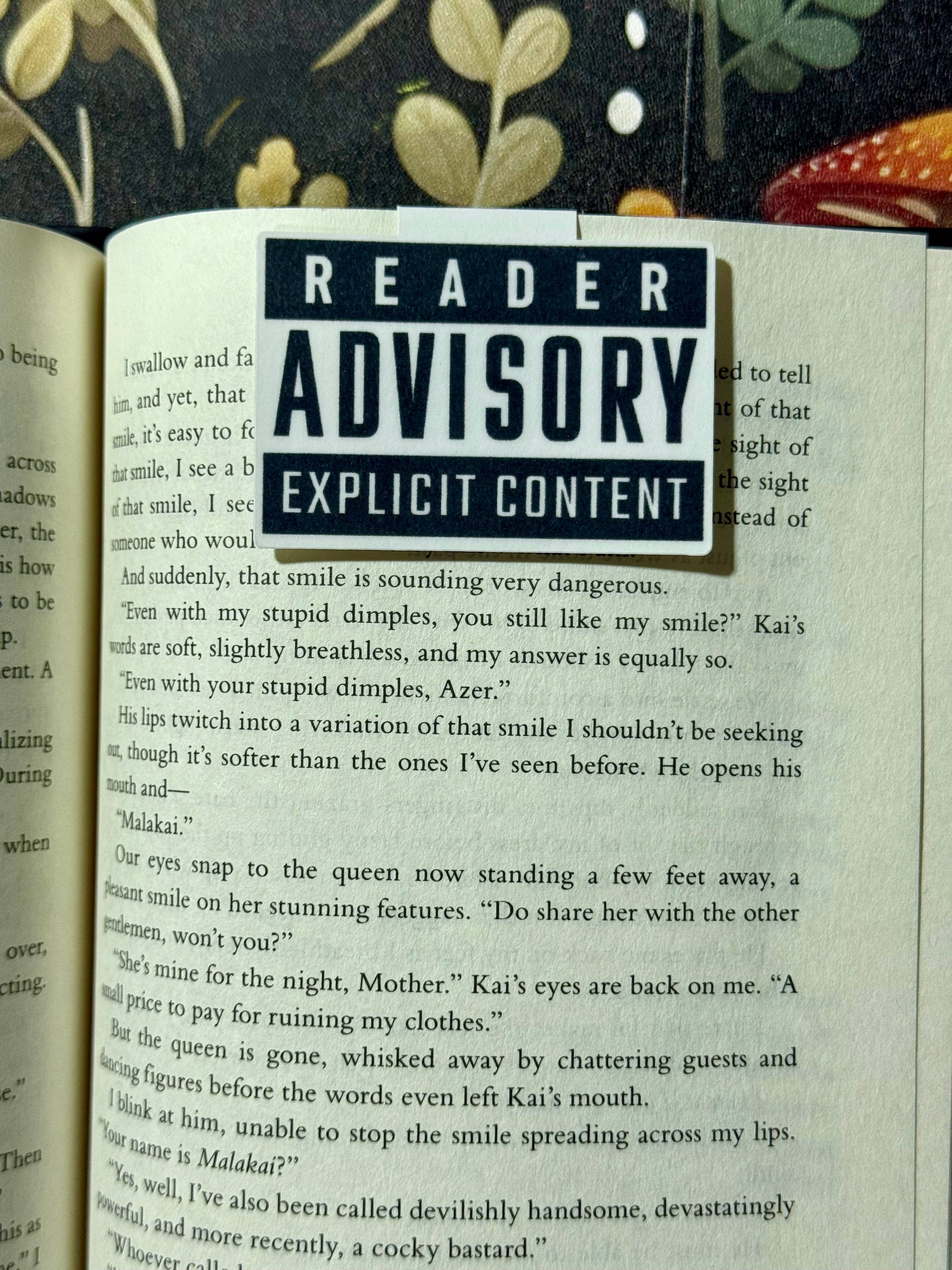 Brinnvill Books - Wholesale Bookmark - Explicit magnetic bookmark0