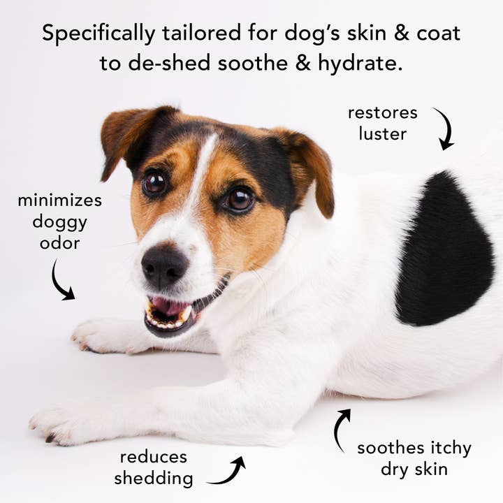 PRIDE+GROOM - Wholesale Pet Shampoo - Dog - THE SHEDDER-PROFESSIONAL USE GALLON5