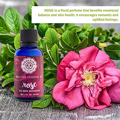 Woolzies - Wholesale Essential oil - Rose Essential Oil3