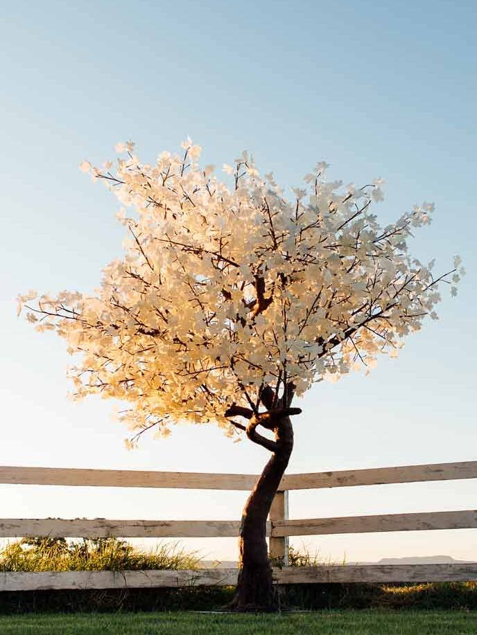 9' White Leaf Maple Tree, 2120 Warm White LEDS, Black Trunk for wholesale by The Light Garden Collection
