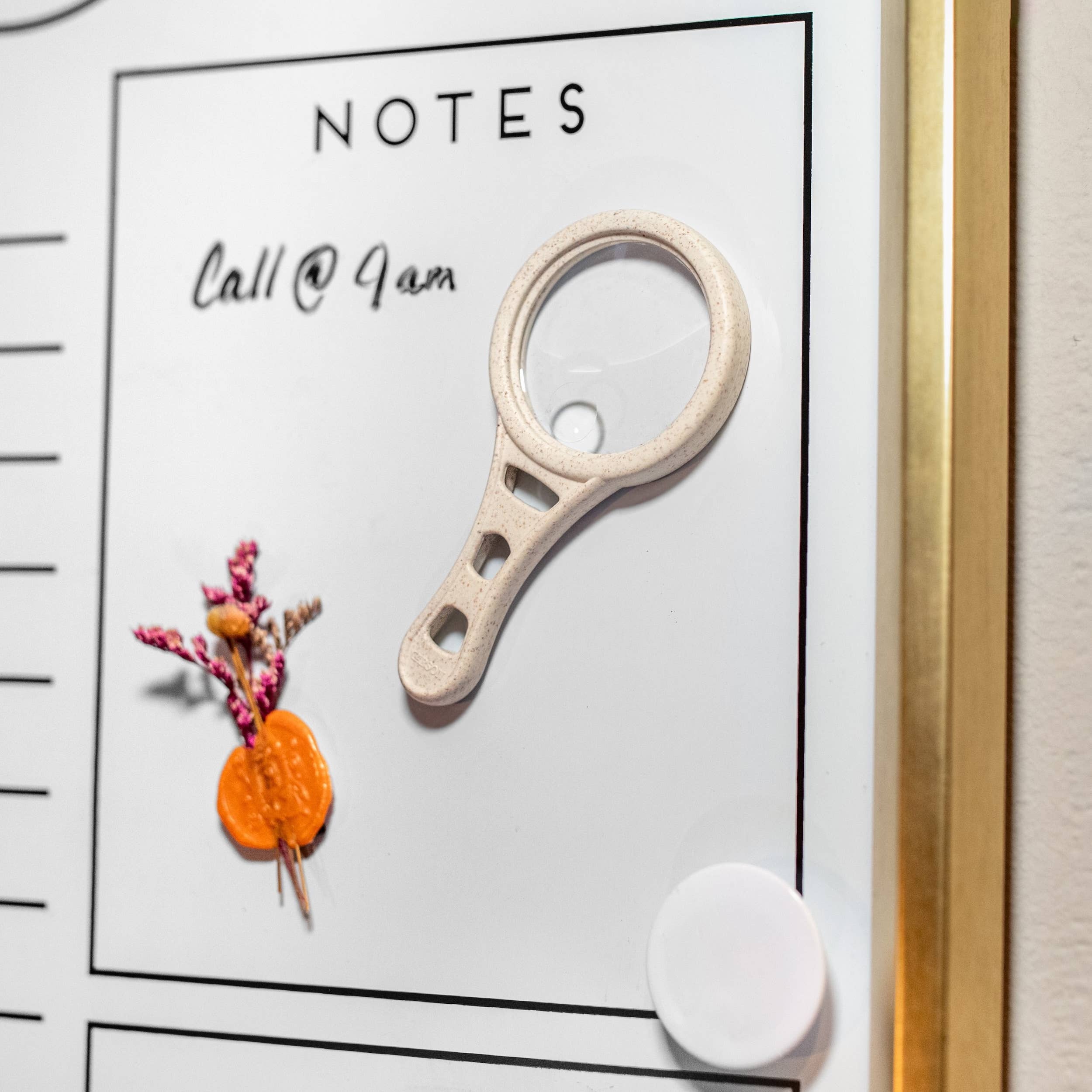 Carson EU – wholesale Förstoringsglas – MagnetMag Veteförstoringsglas 3x med 6x punktlinser1