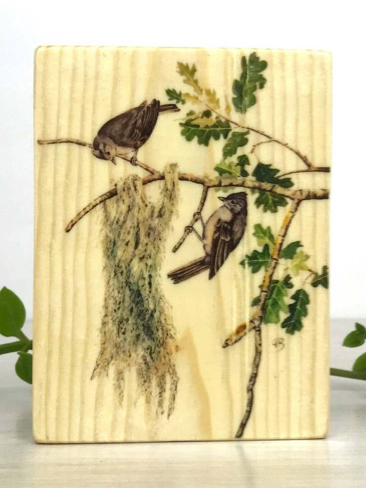 Titmice Wood Panel, Titmice Wood Print, Træ Væg Kunst for engroshandel hos Streetlightbirds