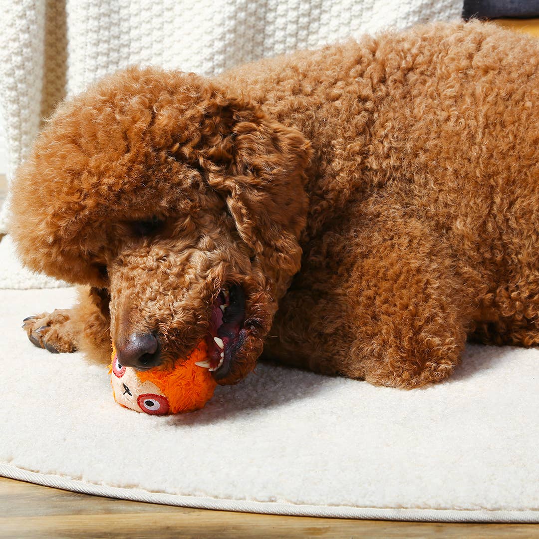 Hugsmart Products Inc - Wholesale Pet Fetch Ball - Dog - HugSmart Pet - Zoo Ball | Sloth - Dog Ball Toy3