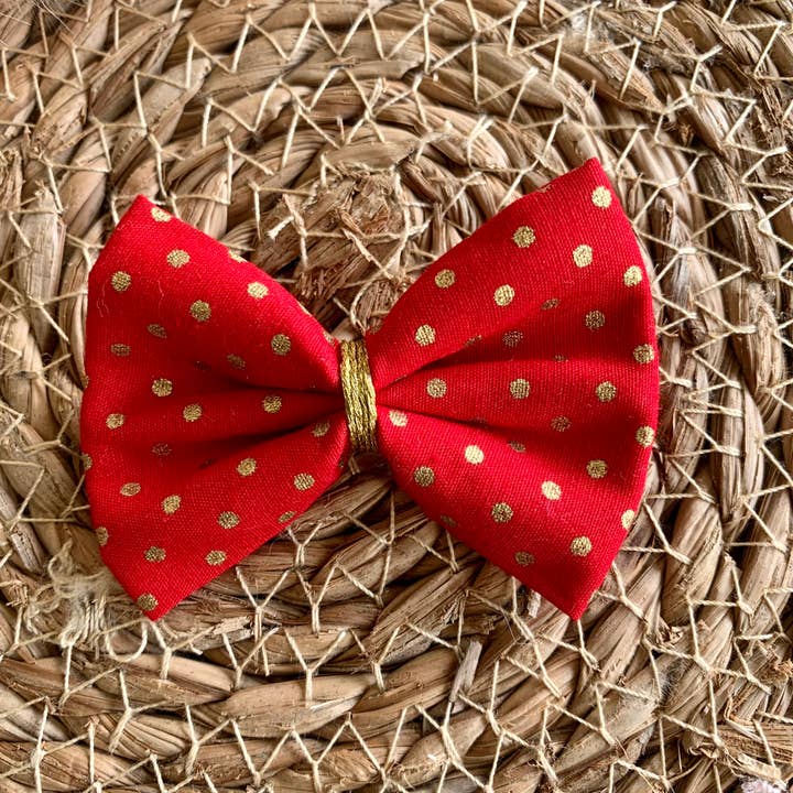 PAOLA für den Großhandel von J’adore maman