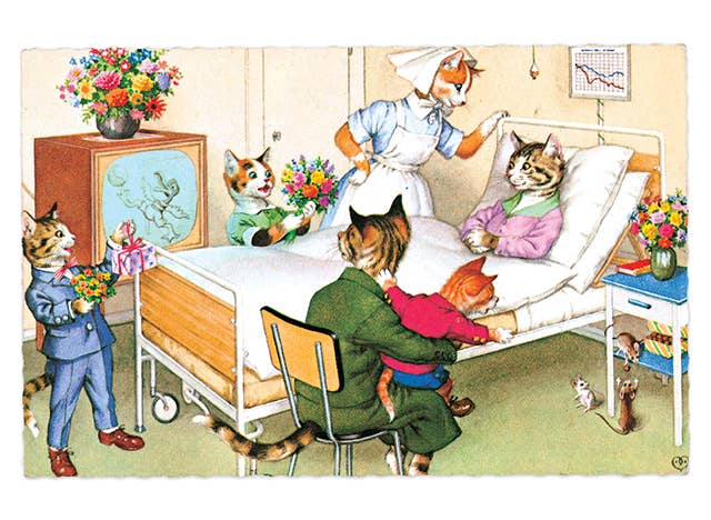 Laughing Elephant - Wholesale Postcard - Delightfully Dressed Cats - Everyday Boxed Postcards23