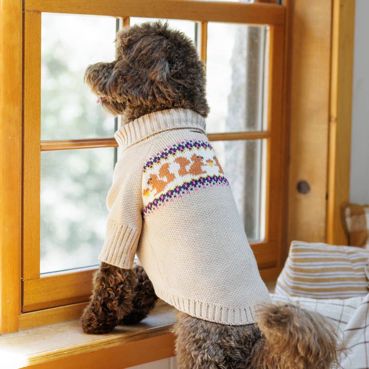 The Foggy Dog - Wholesale Pet Sweater - Dog - Squirrel Knit Dog Sweater
