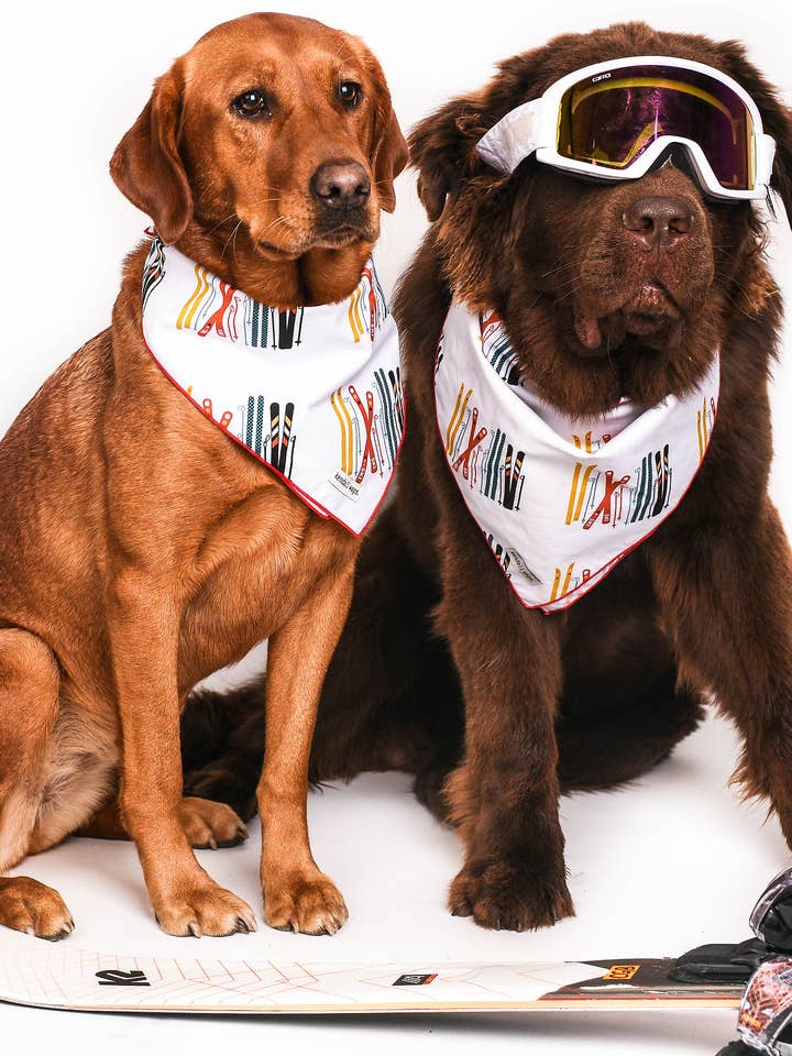 Ski met mij voor wholesale door Kendall Wags