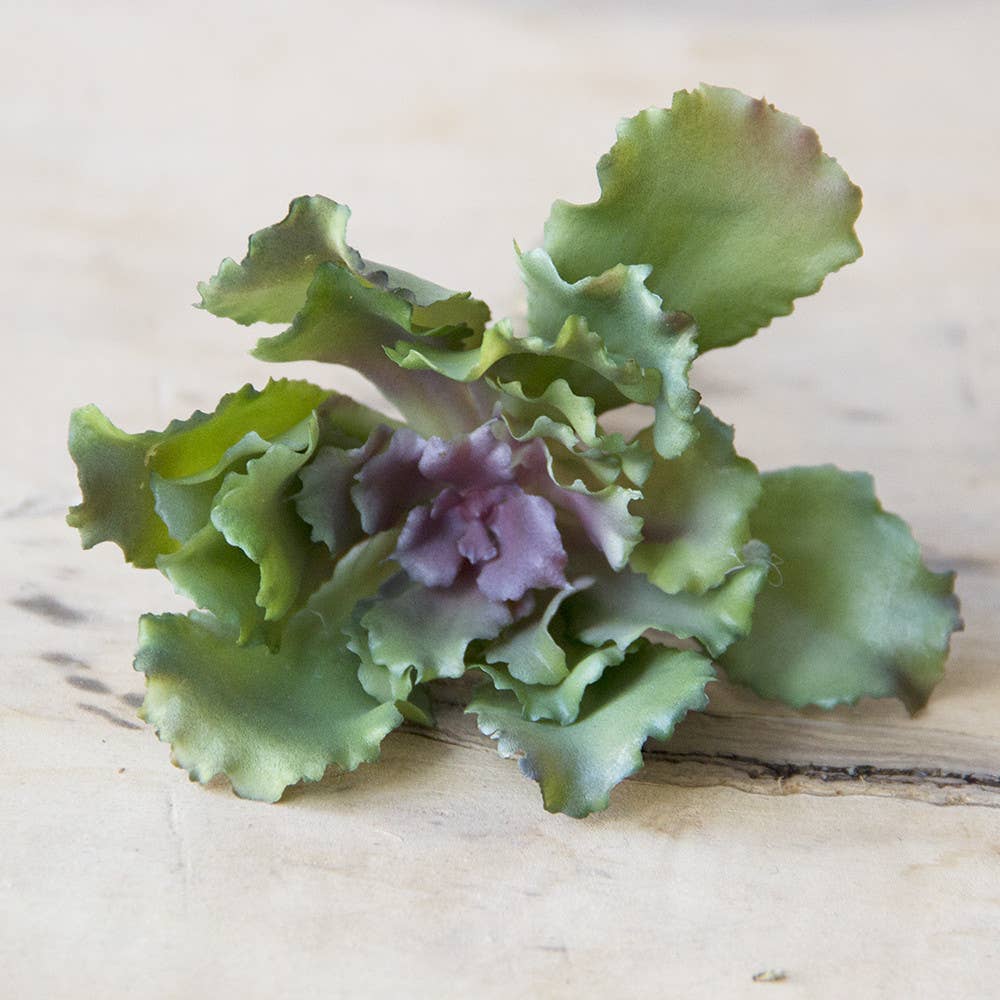 Chive - Wholesale Artificial Plant - Faux Succulent Terrarium Kit | Boho Home Decor Gift  SALE8