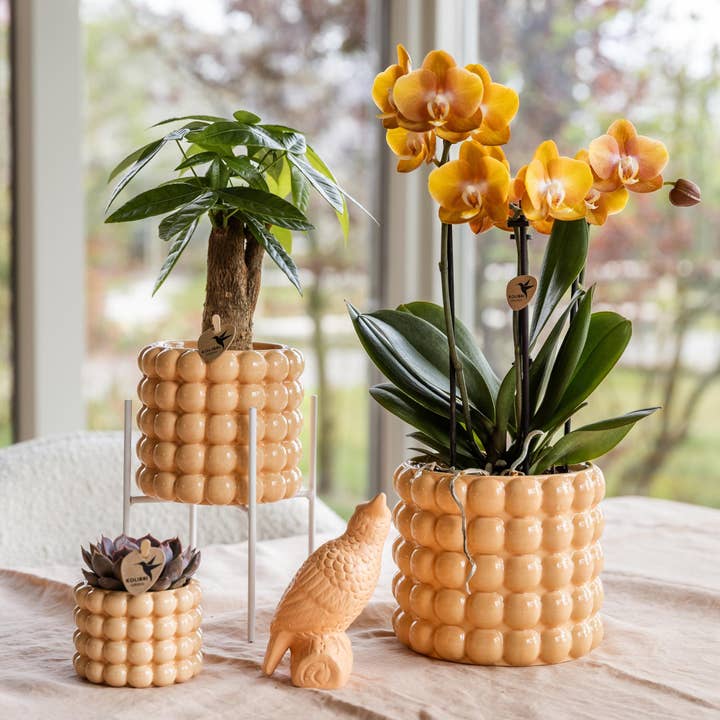 Oasis of Life - Wholesale Plant Pot Stand - White Metal Plant Stand Ø12cm – Modern Metal Flower Pot Stand – Decorative Plant Holder for Indoor Plants – Stable, Stylish & Versatile – Height 18.5cm4