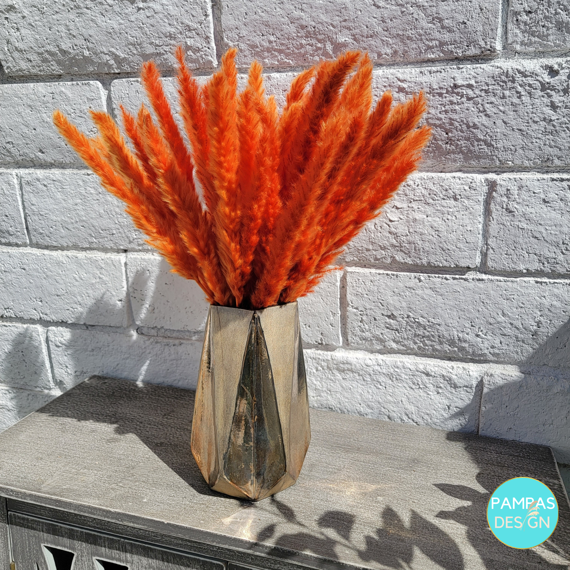 Pampas Design - Venta al por mayor Flores secas/prensadas - 30 Tallos de Pasto Pampas Azul Claro9