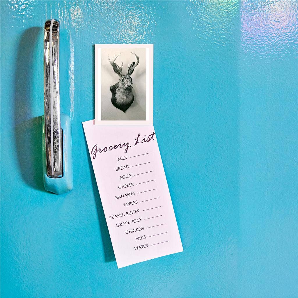 Found Image Press - Wholesale Magnet - Magnet AA-130 Stuffed Jackalope1