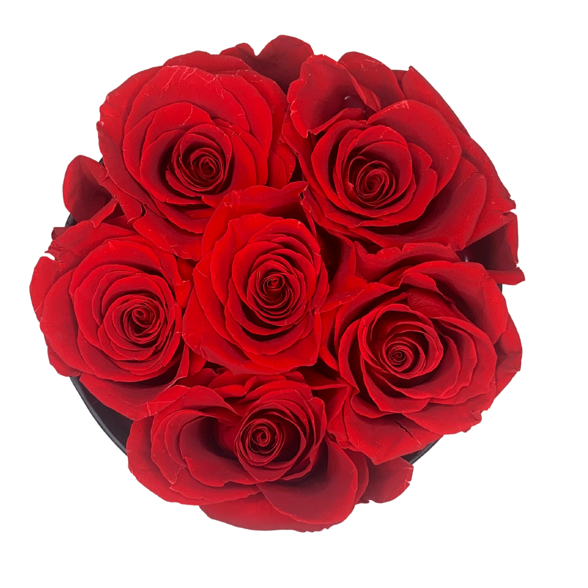 verona home and gift - Wholesale Dried/Pressed Flowers - Real Preserved Roses that Last Forever 23
