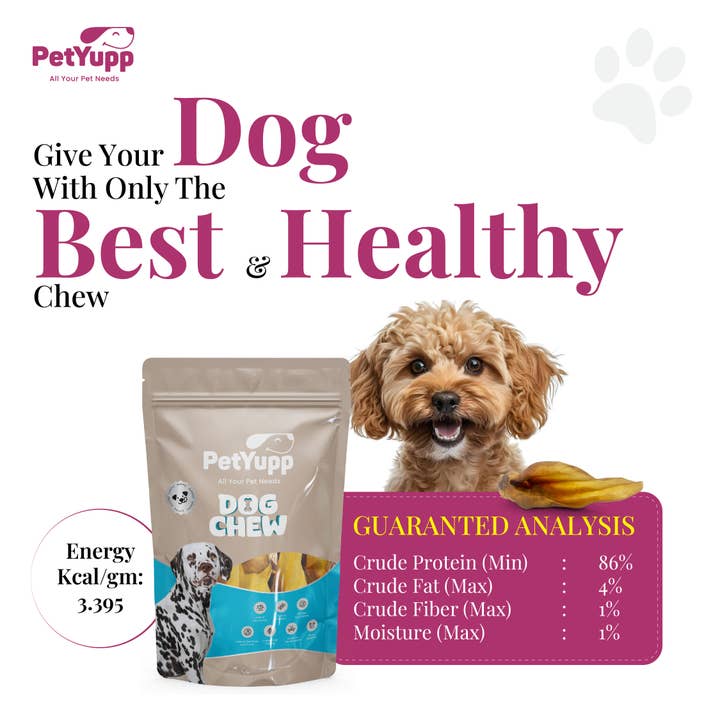 PetYupp - Wholesale Pet Treats - Dog - Water Buffalo Ear with Meat Dog Chew - (10 Pcs) 100% Natural Dog Treats Dog Sizes4