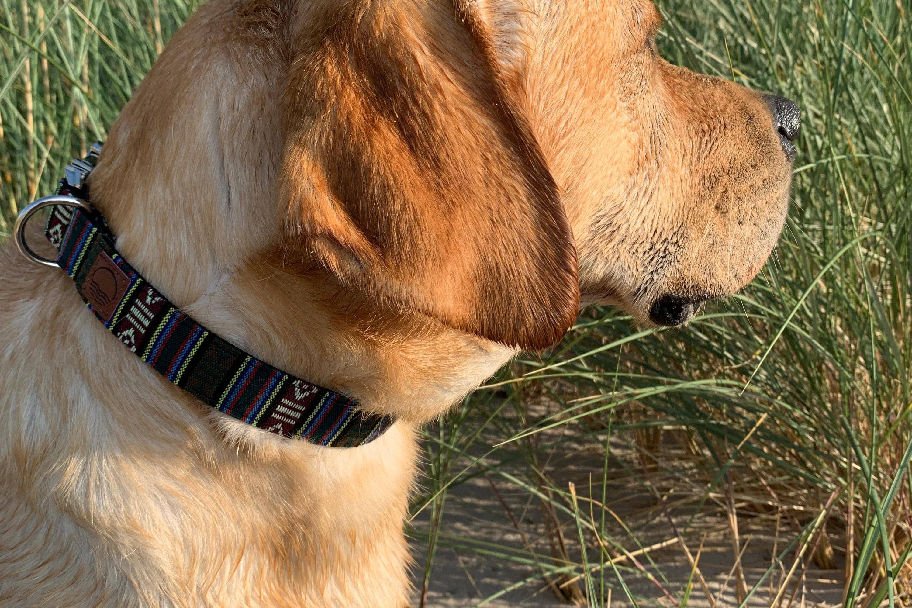 Made By Nami - Wholesale Halsband - Hond - Boho hondenhalsband - Azteeks design