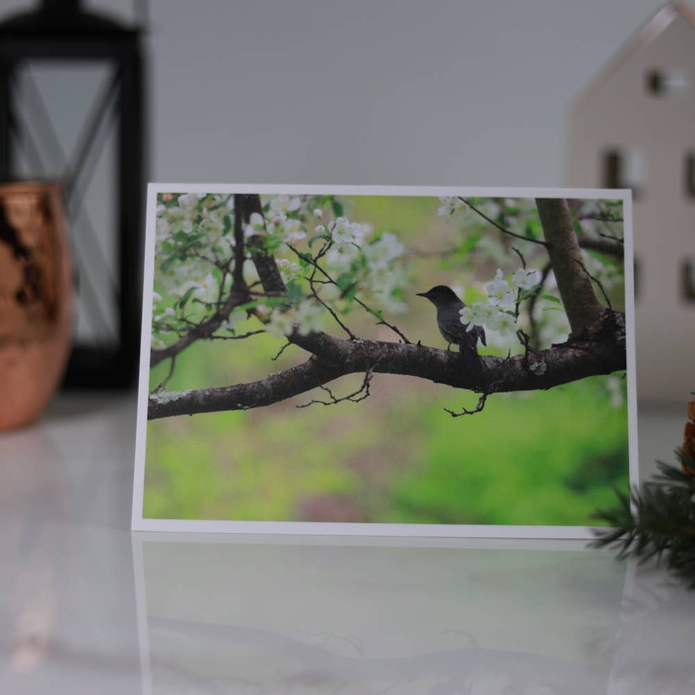 New England Prints - Wholesale Stationery/Notecard Set - Box of 5 All Occasion Majestic Bird Blank Note Cards8