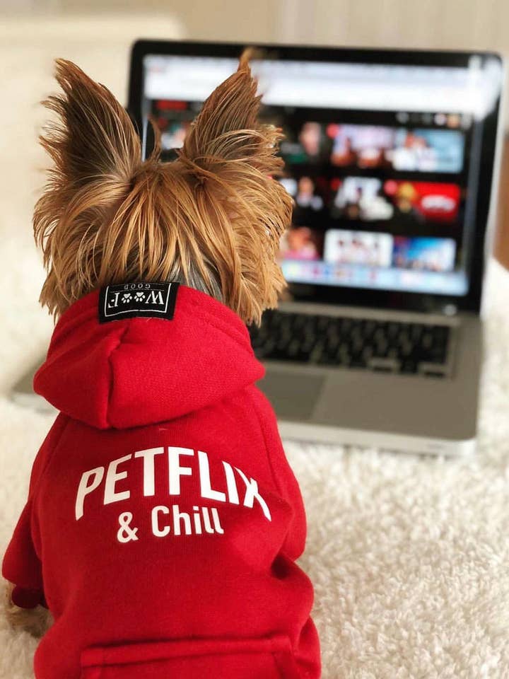 Petflix & Chill for wholesale by Woof Good