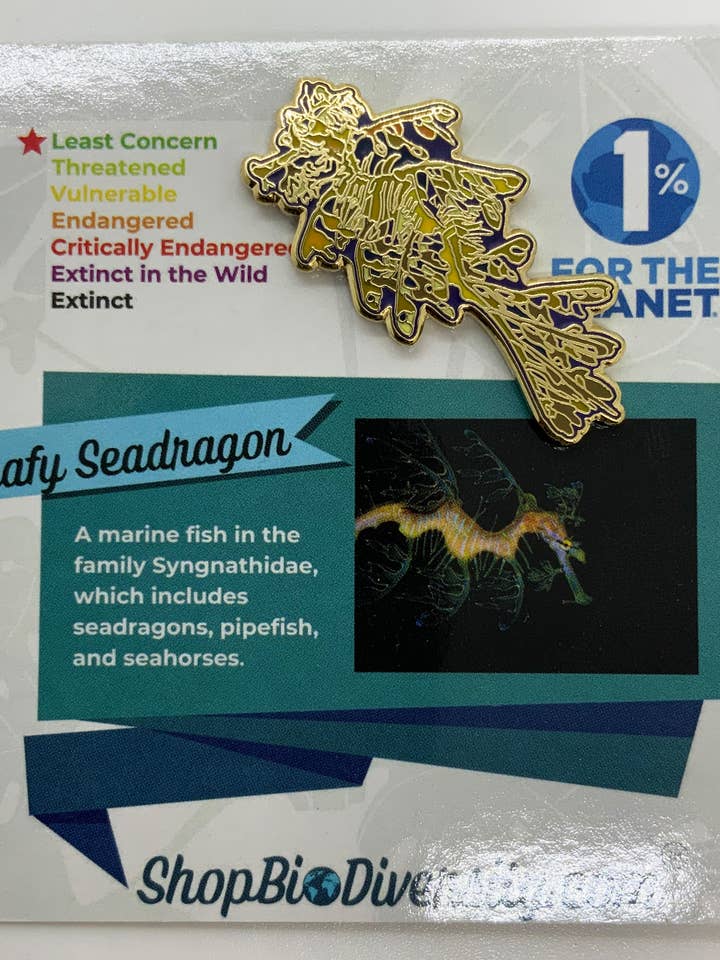 Alfinete de Esmalte de Dragão-Marinho - Alfinete de Lapela Dourado de Animal do Oceano por atacado de Shop BioDiversity