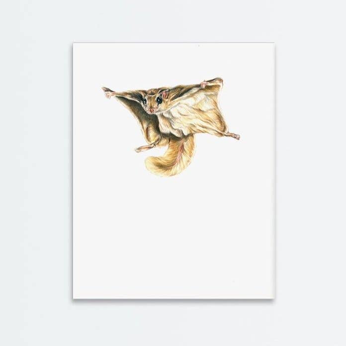Imprimé Flying Squirrel pour la vente par Amanda Surveski Wildlife Art