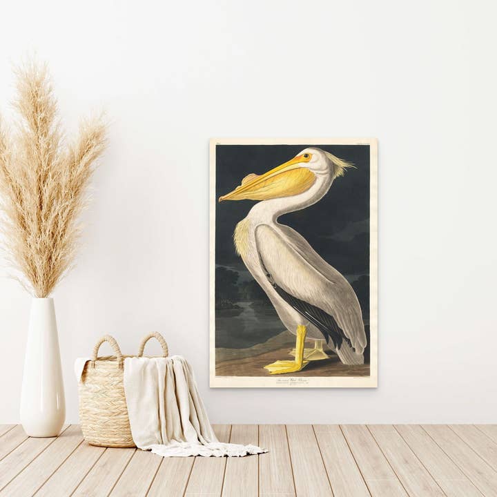 Vintage Bird 1827 American Pelican Botanical Wall Art Poster pour la vente par Vintage Wall Graphics