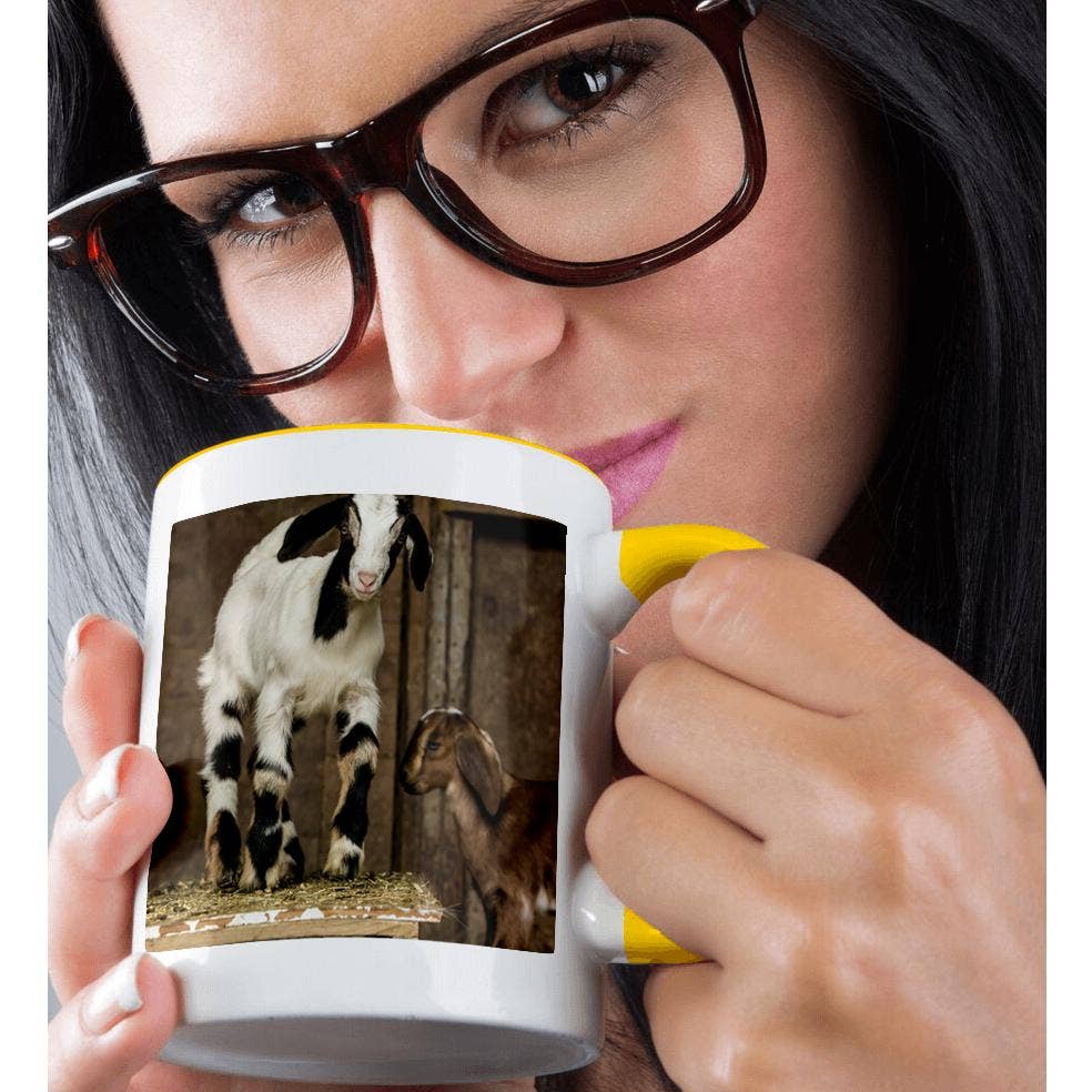 3dRose - Wholesale Coffee Mug - 3dRose, Two 12 day old mixed breed Nubian and Boer goat kids posing., Mug1