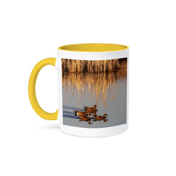 3dRose - Wholesale Coffee Mug - 3dRose, American Widgeons at Freezeout Lake near Fairfield, Montana, USA., Mug
