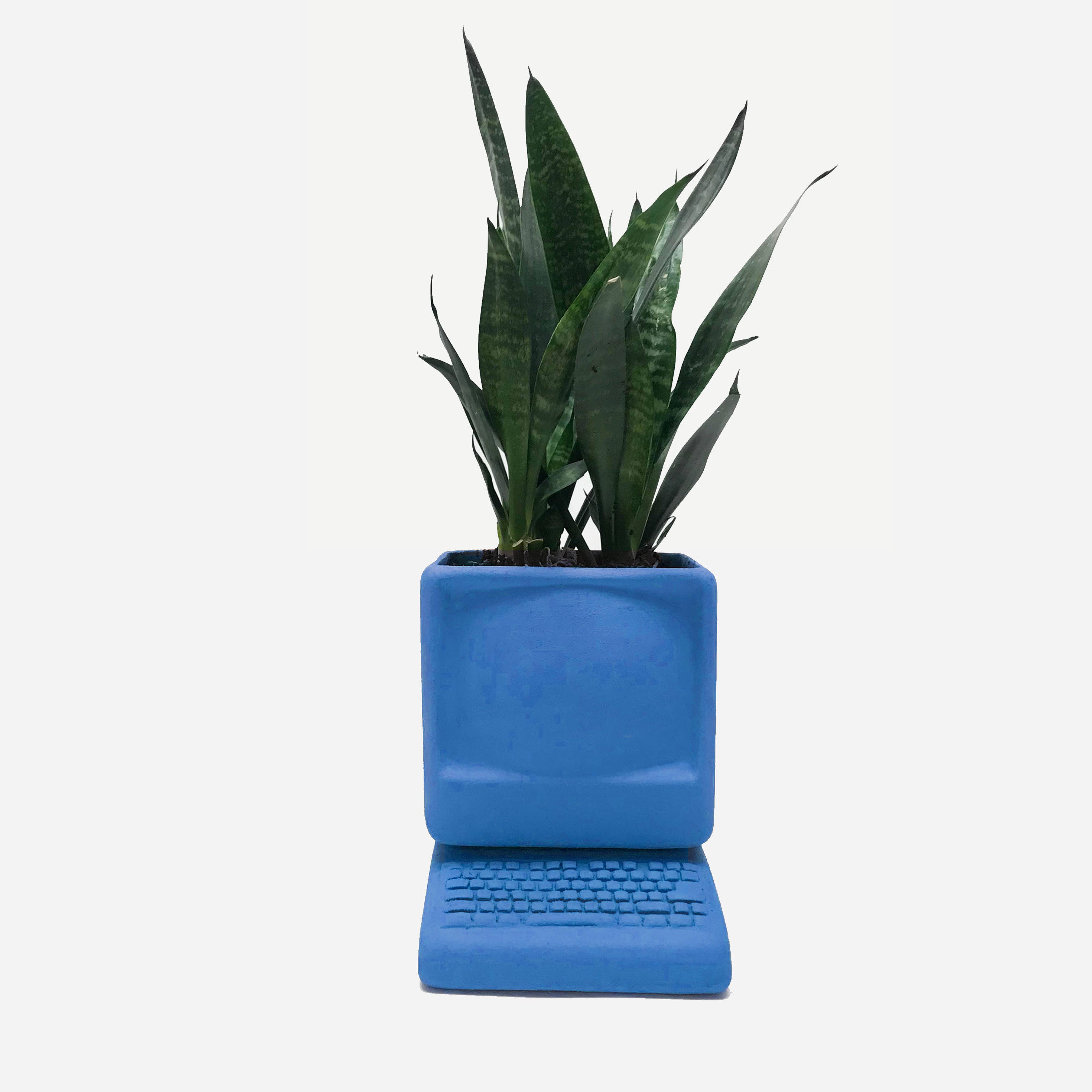 Wyatt Little - Wholesale Plant Pot - Small Computer Planter0