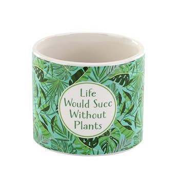 Napco - Wholesale Plant Pot - Green Planter Witty Collection, 3 Assorted # 13668 1