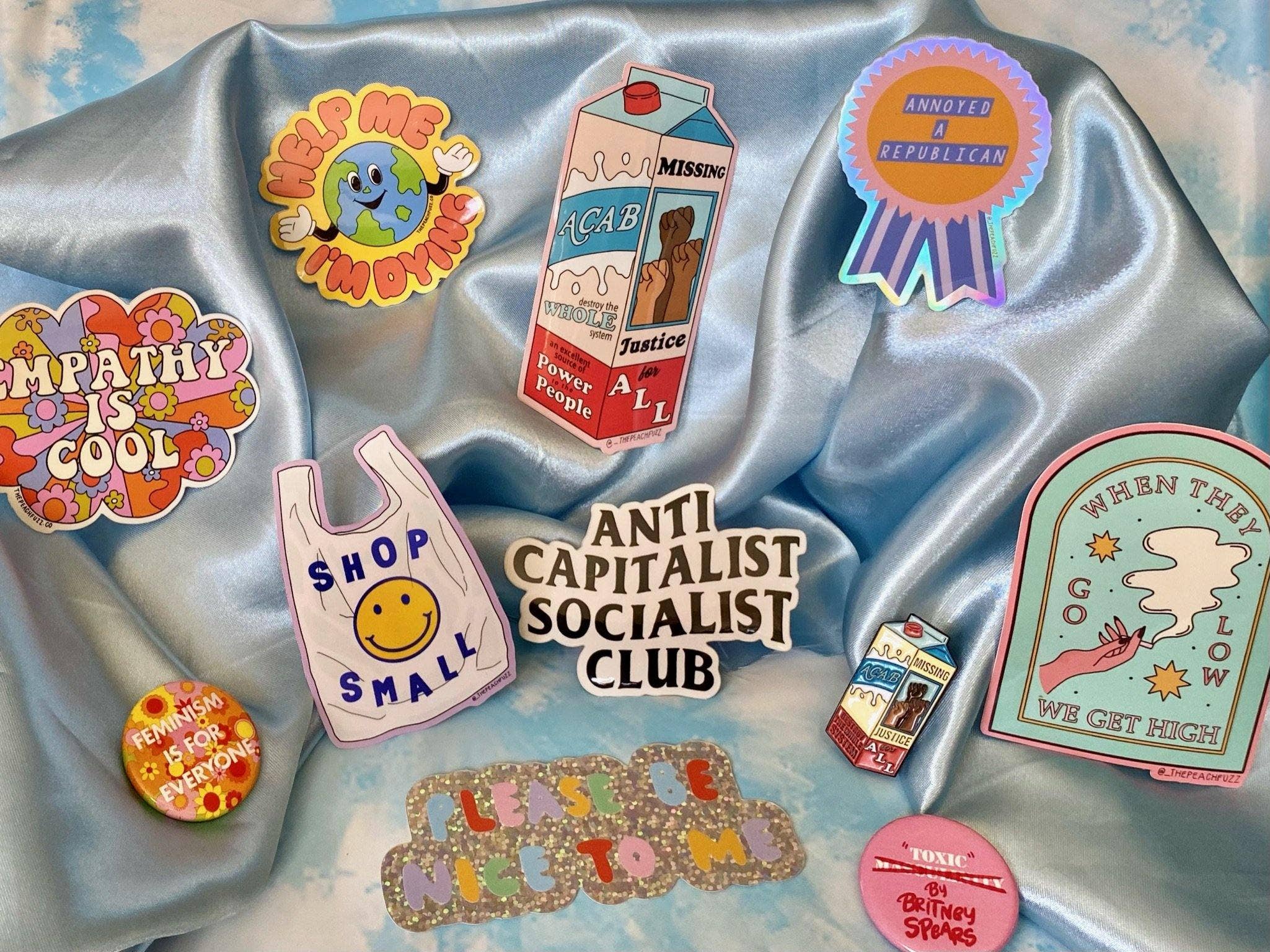 The Peach Fuzz - Wholesale Sticker - Please Be Nice To Me Sticker9