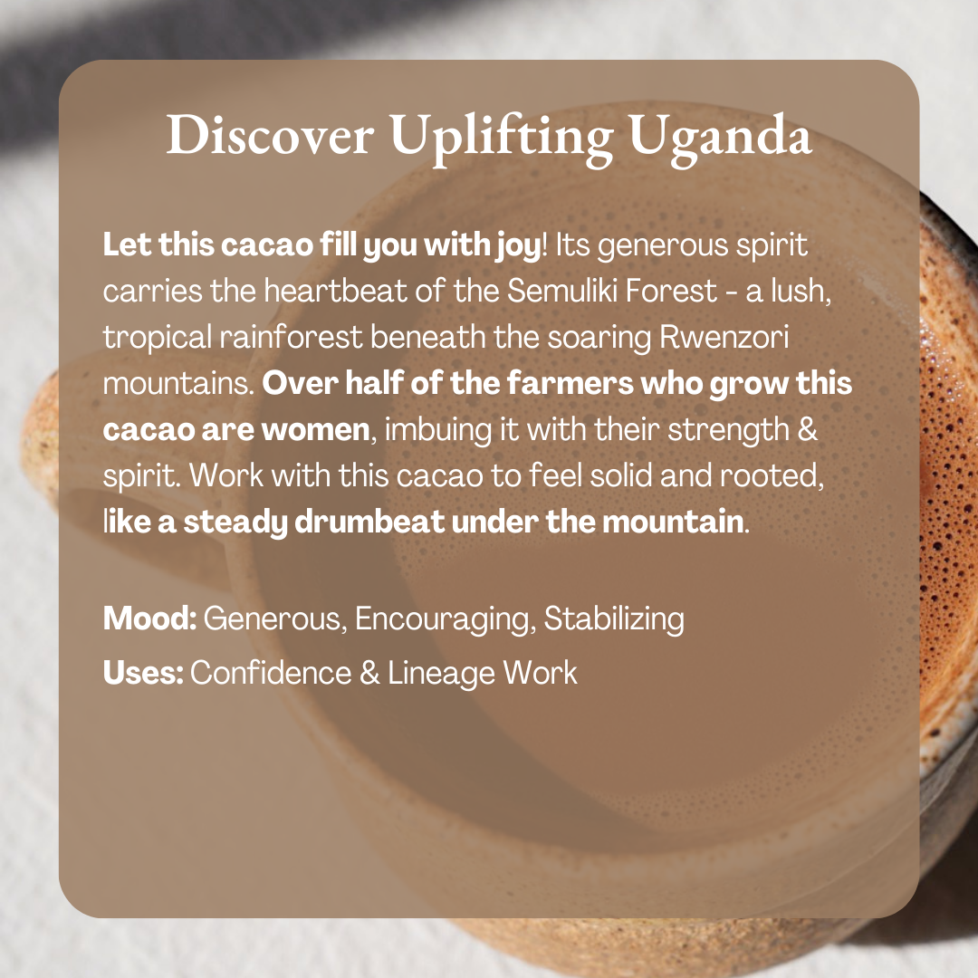 Ora Cacao - Vente Préparations/kits pour chocolat chaud - Uplifting Uganda 100 % cacao - Chocolat cérémonial biologique4