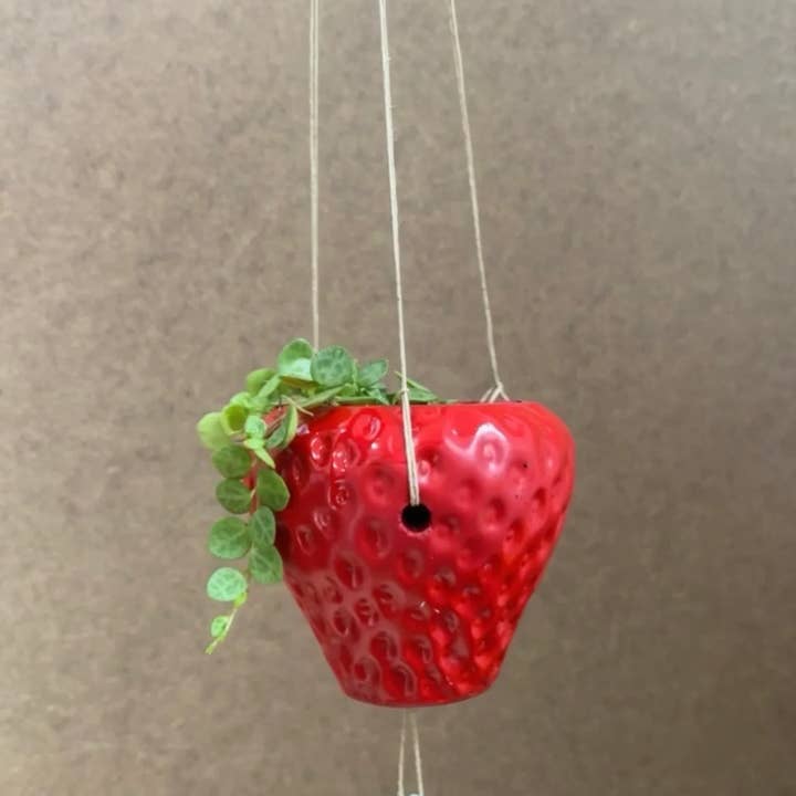 Queen City Crete – wholesale Solfångare – Suncatcher Jordgubbsplanterare i betong1