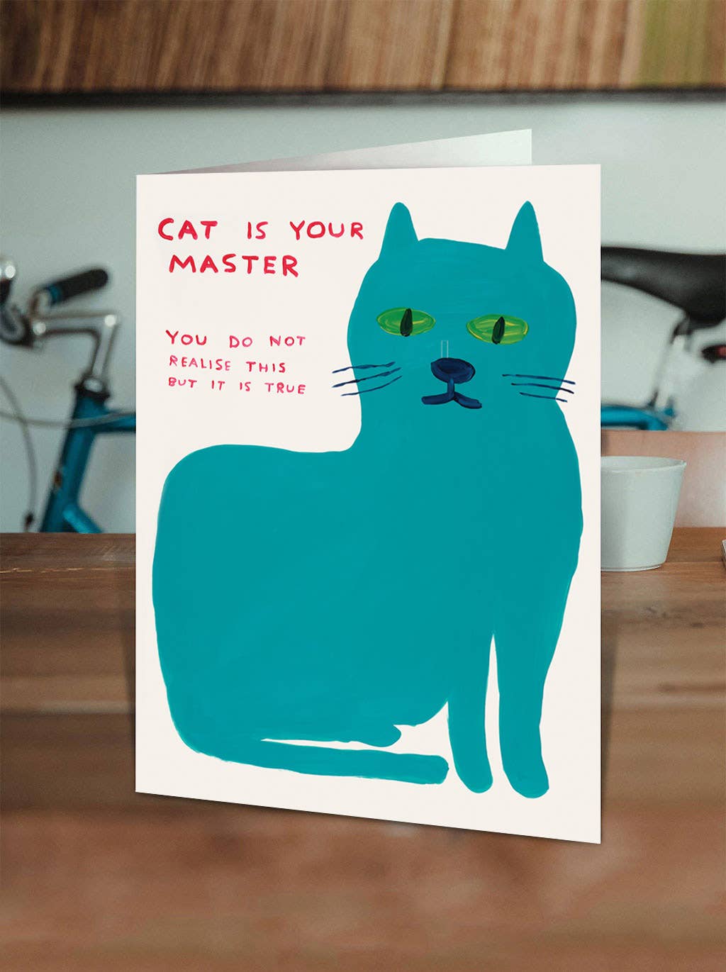 David Shrigley x Brainbox Candy - Wholesale Everyday Greeting Card - Funny Greetings Card By David Shrigley - Cat Master1
