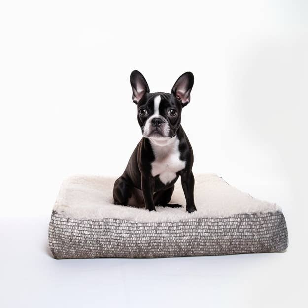 Snoozer - Wholesale Pet Bed - Dog - Snoozer Slumber Spot — Affordable Luxury Dog Bed
