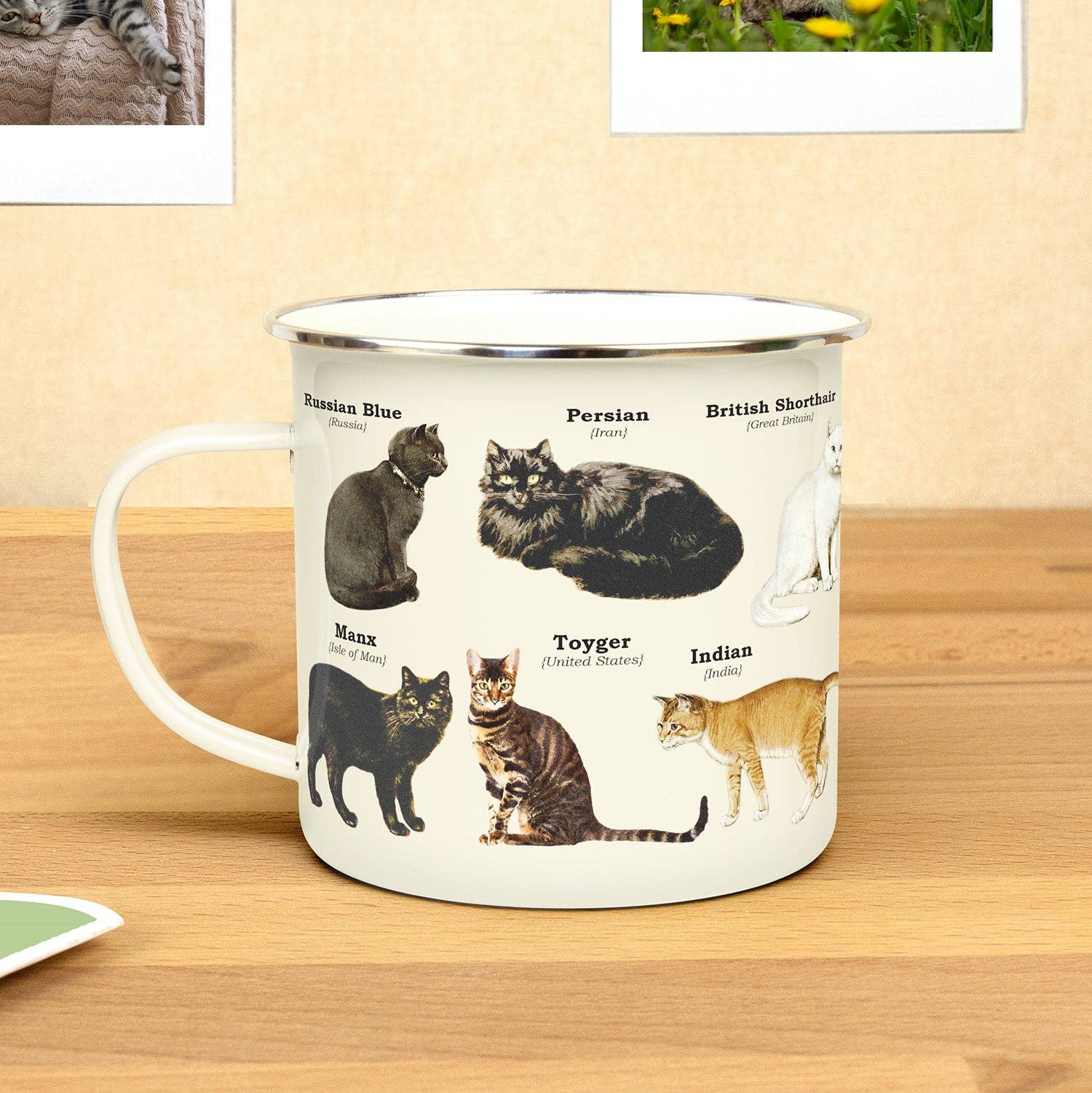 William Valentine Collection - Wholesale Coffee mug - Cats - Enamel Mug0