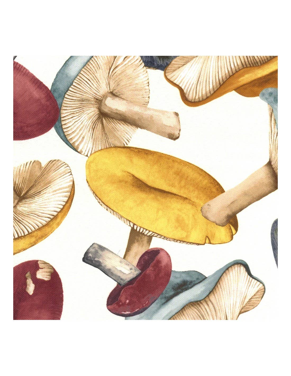 Confecciones J. Garcia - Wholesale Schort - Schort met print 62614