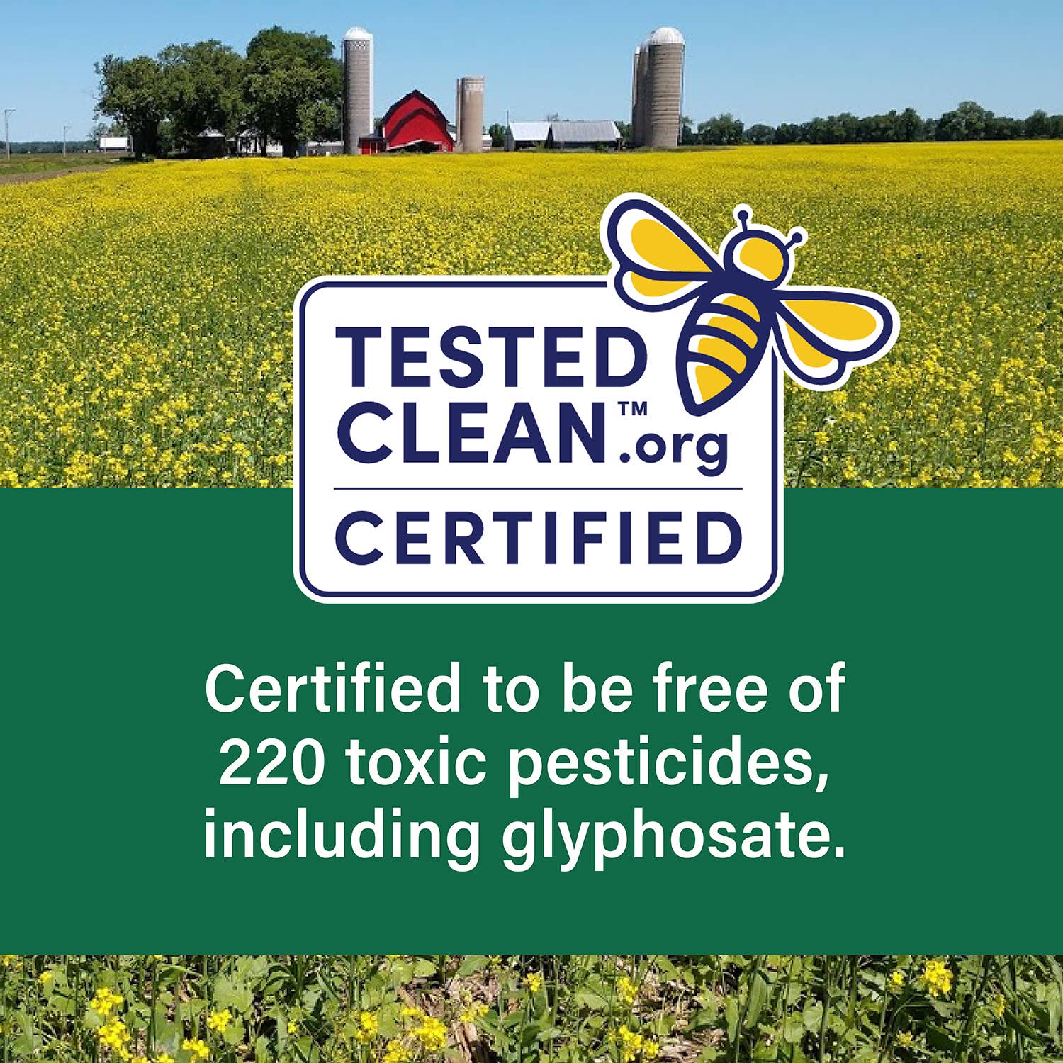 Doudlah Farms Organics - Wholesale Beans - Organic Small Red Beans2