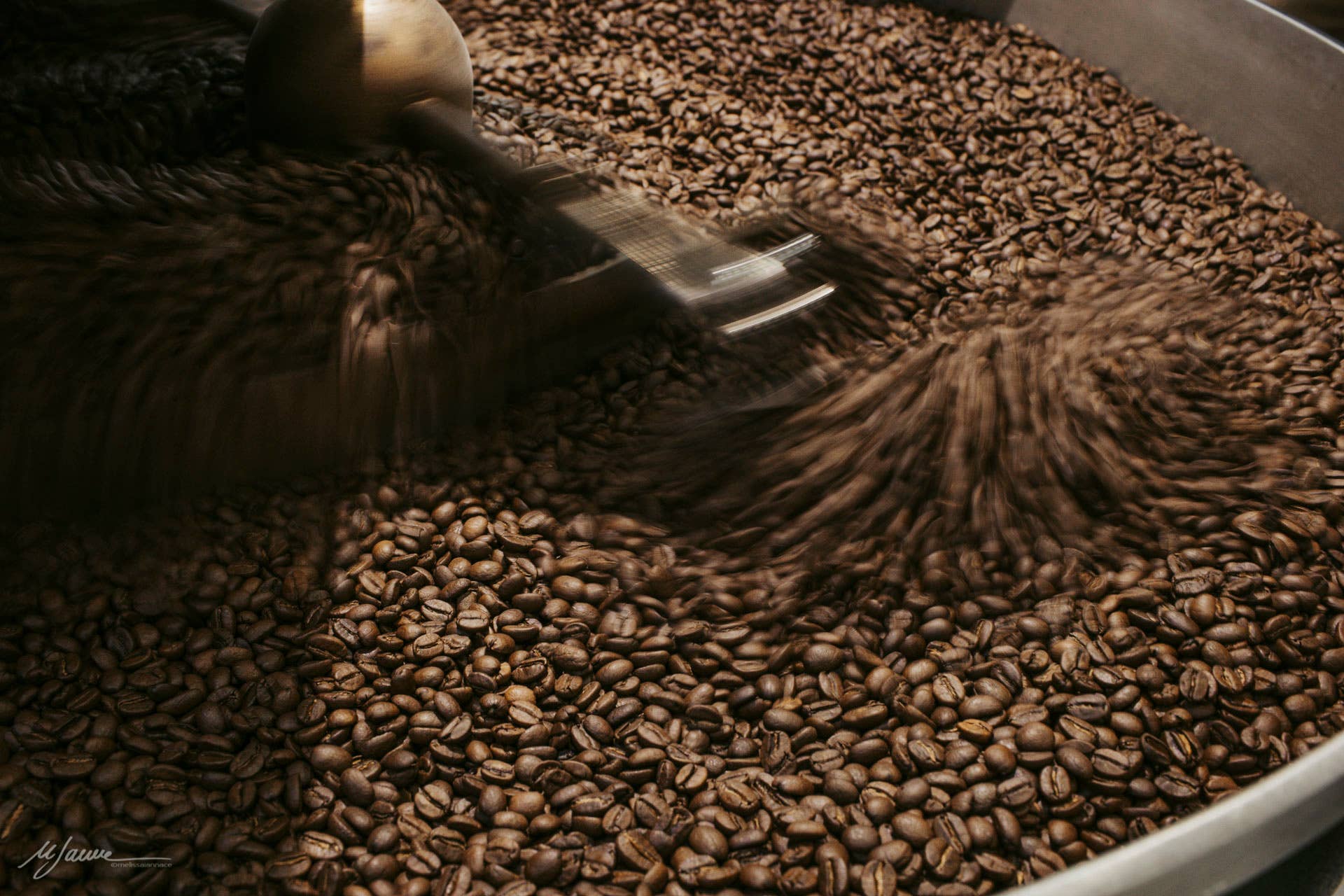 Cafe srls - Wholesale Oploskoffie/espresso - COCCOLOSA rijke en zachte melange, 250 g koffiebonen5