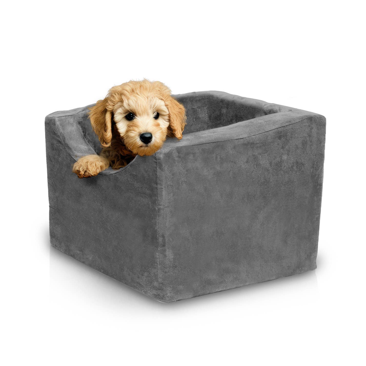 Precious Tails - Wholesale Pet Carrier - Cat/Dog - Precious Tails High Density Foam Pet Booster Seat48