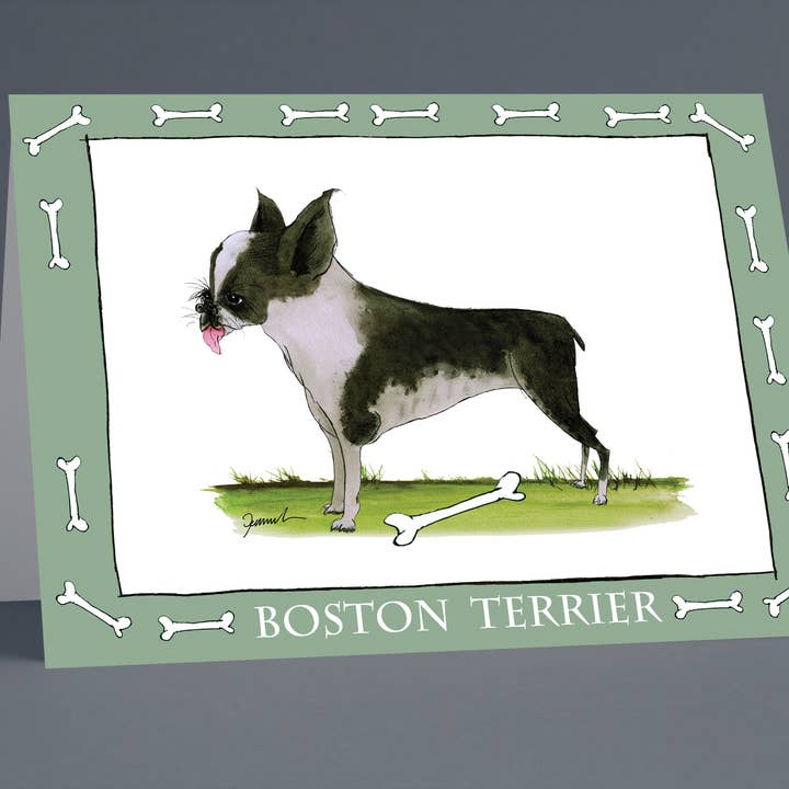Boston Terrier greeting cards (pack of 6) for wholesale by Tony Fernandes Design