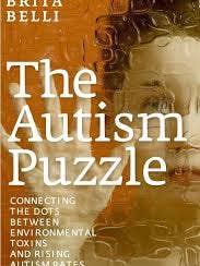 The Autism Puzzle: Connecting for wholesale by Beaglier Books