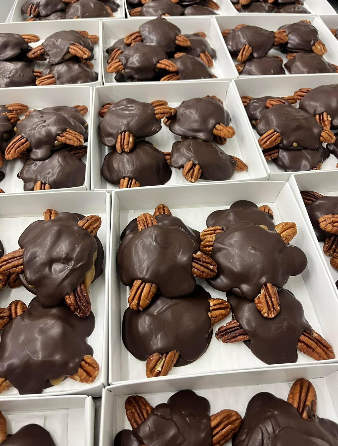 Carolina Chocolate Company – wholesale Chocolate-covered sweets – 6 pc Pecan Paws1
