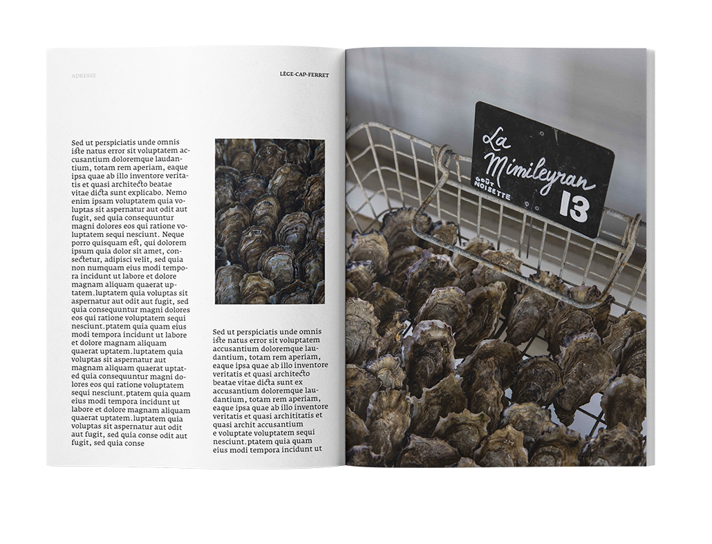 Les Éditions Papier - Wholesale Travel Book - ARCACHON BASIN AND MEDOC PAPER GUIDE - PREORDER6