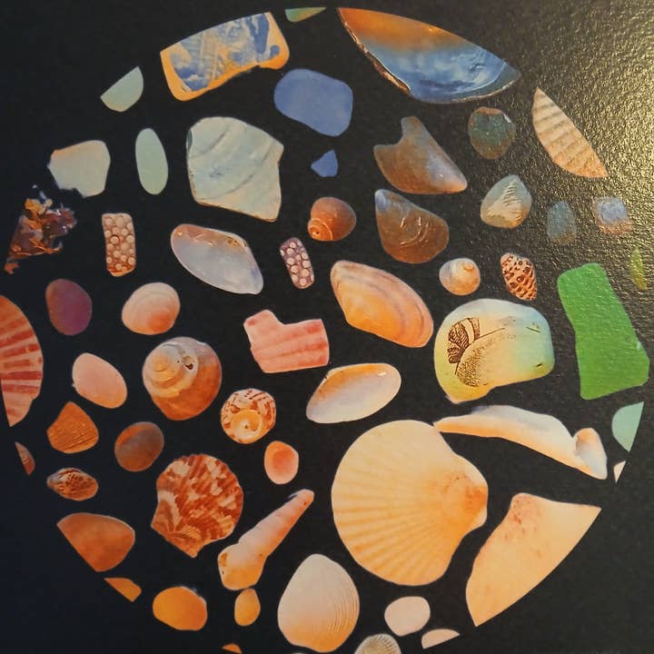 Waves & Wander - Wholesale Art Print - Shell Art Print - Coastal Colours - 10 x 10 2