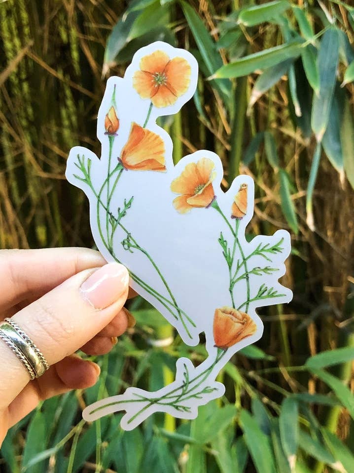 California Golden Poppies Flower Sticker for wholesale by Hannah Moore Art