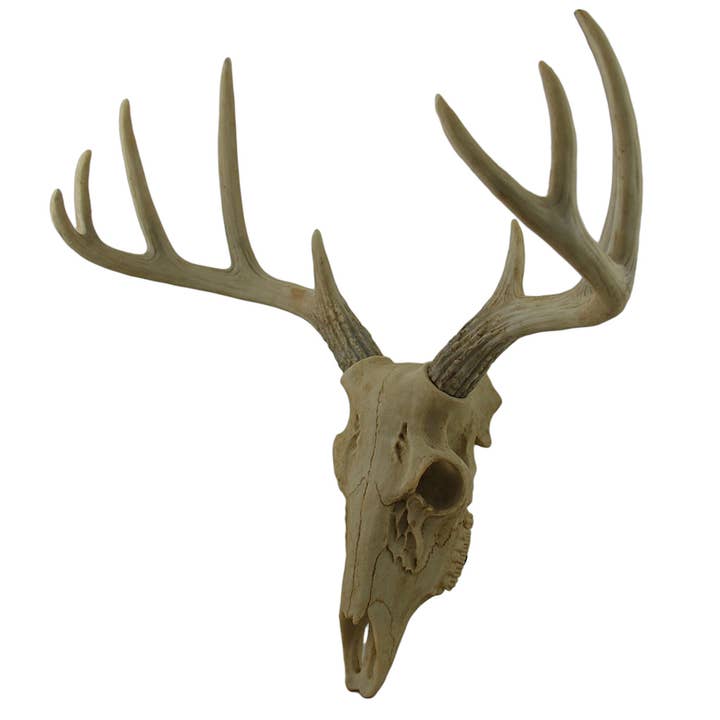Zeckos - Wholesale Wall Accent - Faux 10 Point Buck Deer Skull 15 Inch Wall Sculpture