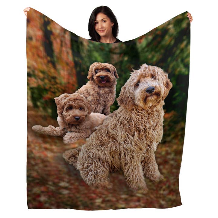50" x 60" Labradoodle Plush Minky Blanket for wholesale by Artopia
